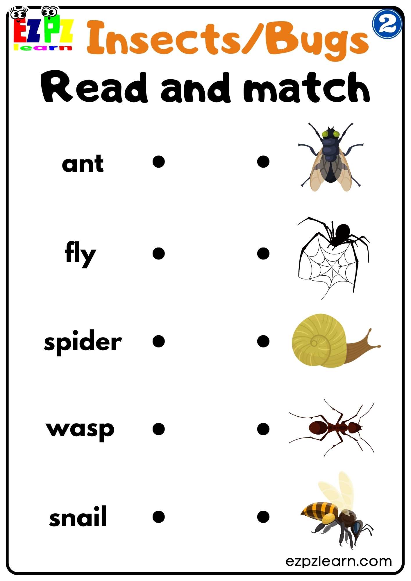 Group 2 Insects and Bugs Read and Watch Worksheet PDF Download For Homeschool and ESL Students
